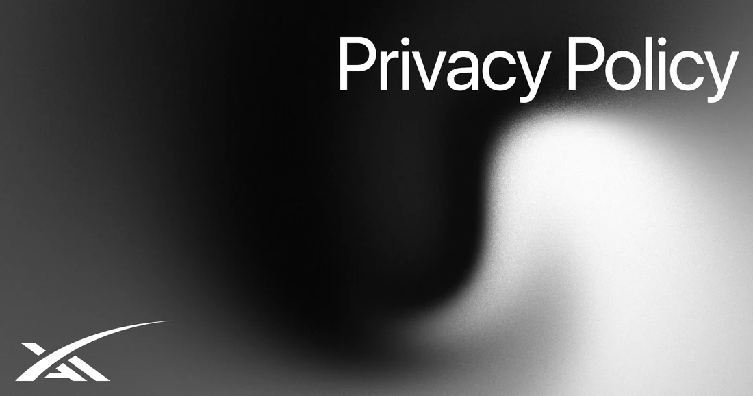 Visual published with the cited source for this record: Grok's privacy policy treats Ani and Rudy like any other prompt